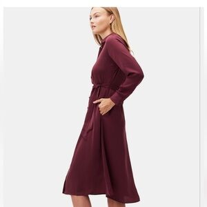 NWOT Elegant Dress in Plum